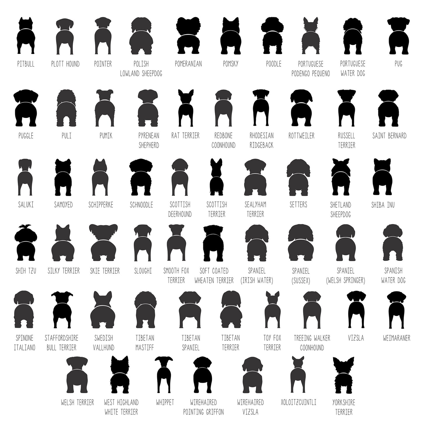 Personalized Dog Leash Holder